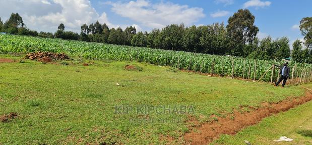1⁄4 Plot for Sale in Kiplombe Eldoret - main view