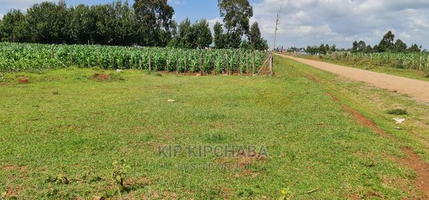 1⁄4 Plot for Sale in Kiplombe Eldoret - thumbnail 6