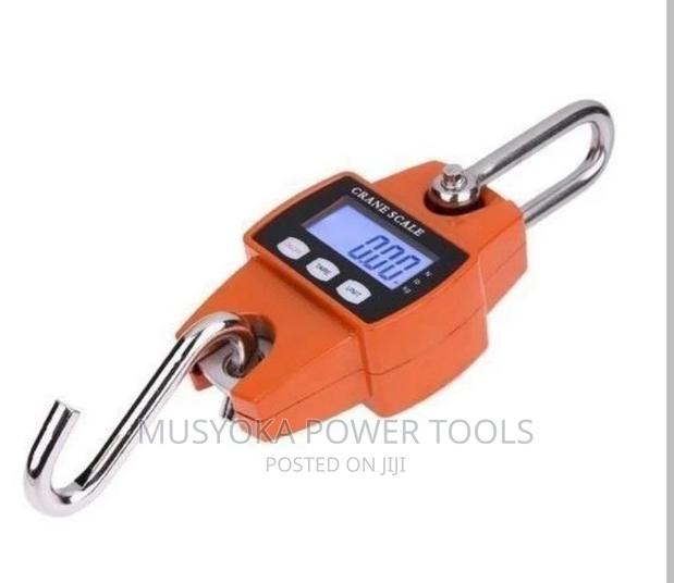 300KGS Industrial Crane Digital Weighing Scale