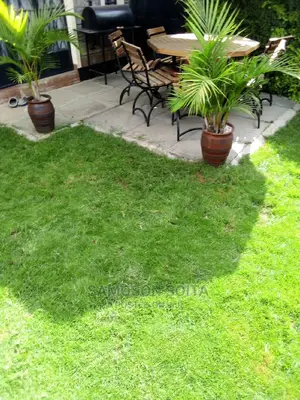 Landscaping and Gardening