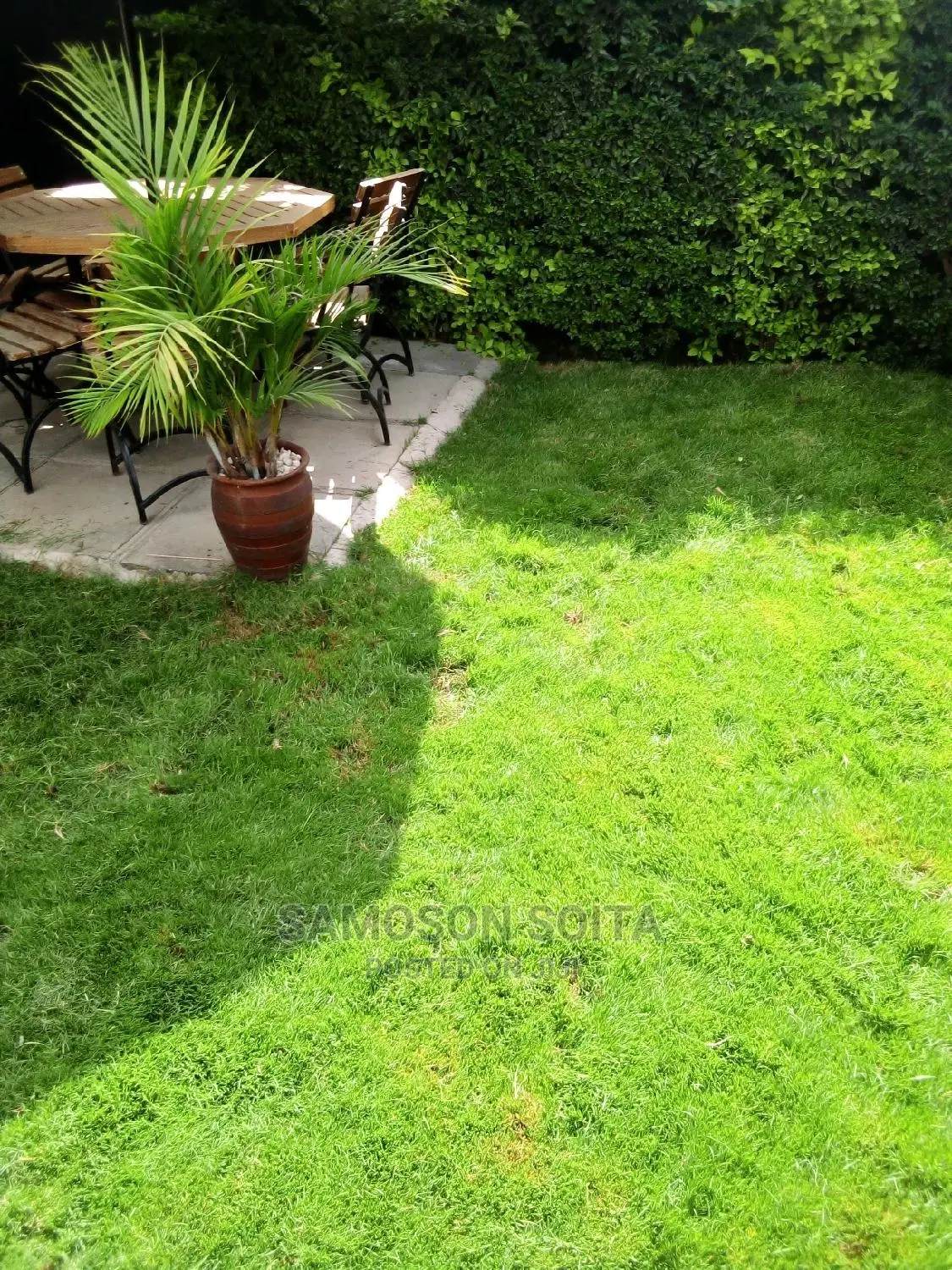Landscaping and Gardening