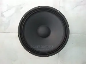 Speaker Naked 15"