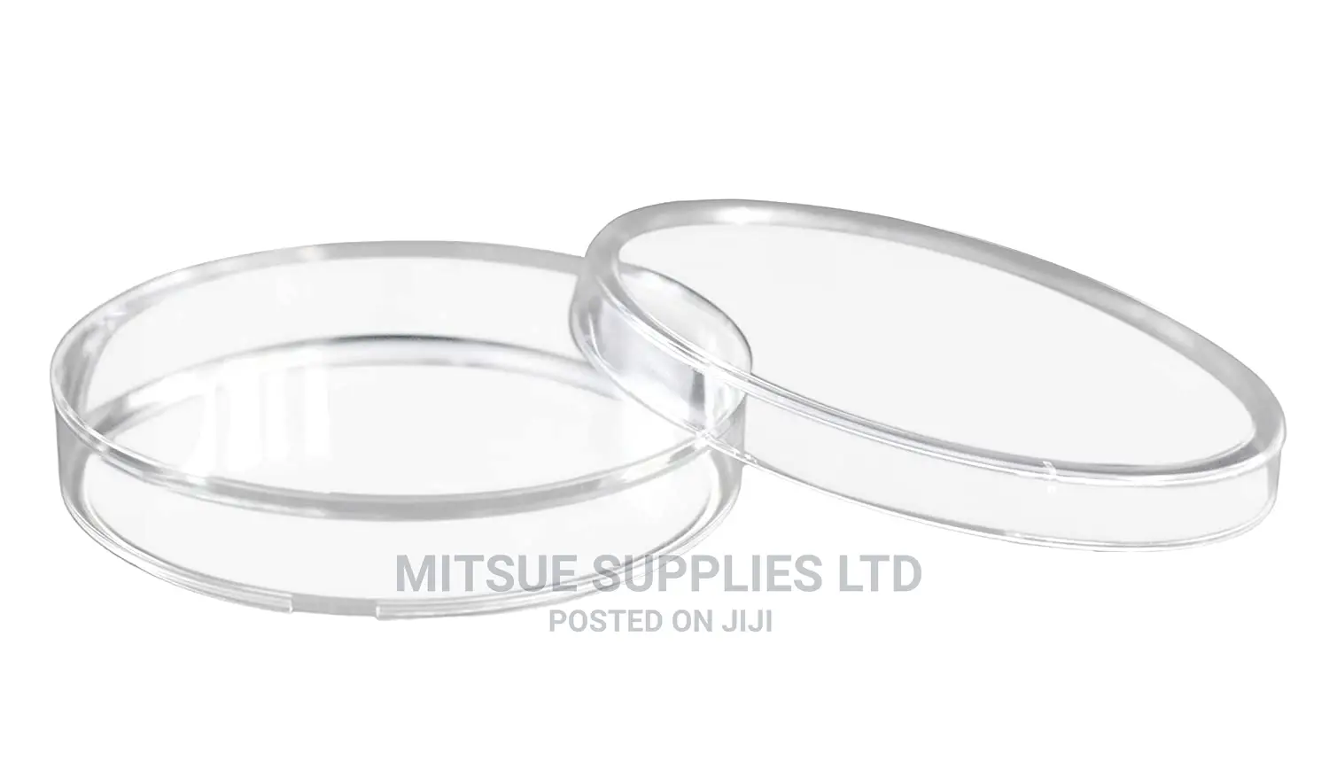 A Set of 10 Petri Dish 55mm Glass