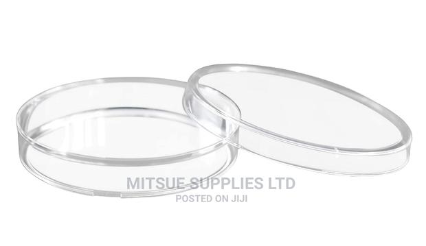 A Set of 10 Petri Dish 55mm Glass