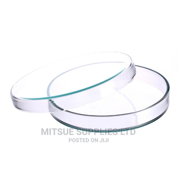 Petri Dish 100X20MM Pyrex - main view