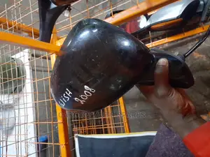 Wish 2010 2015 Side Mirror