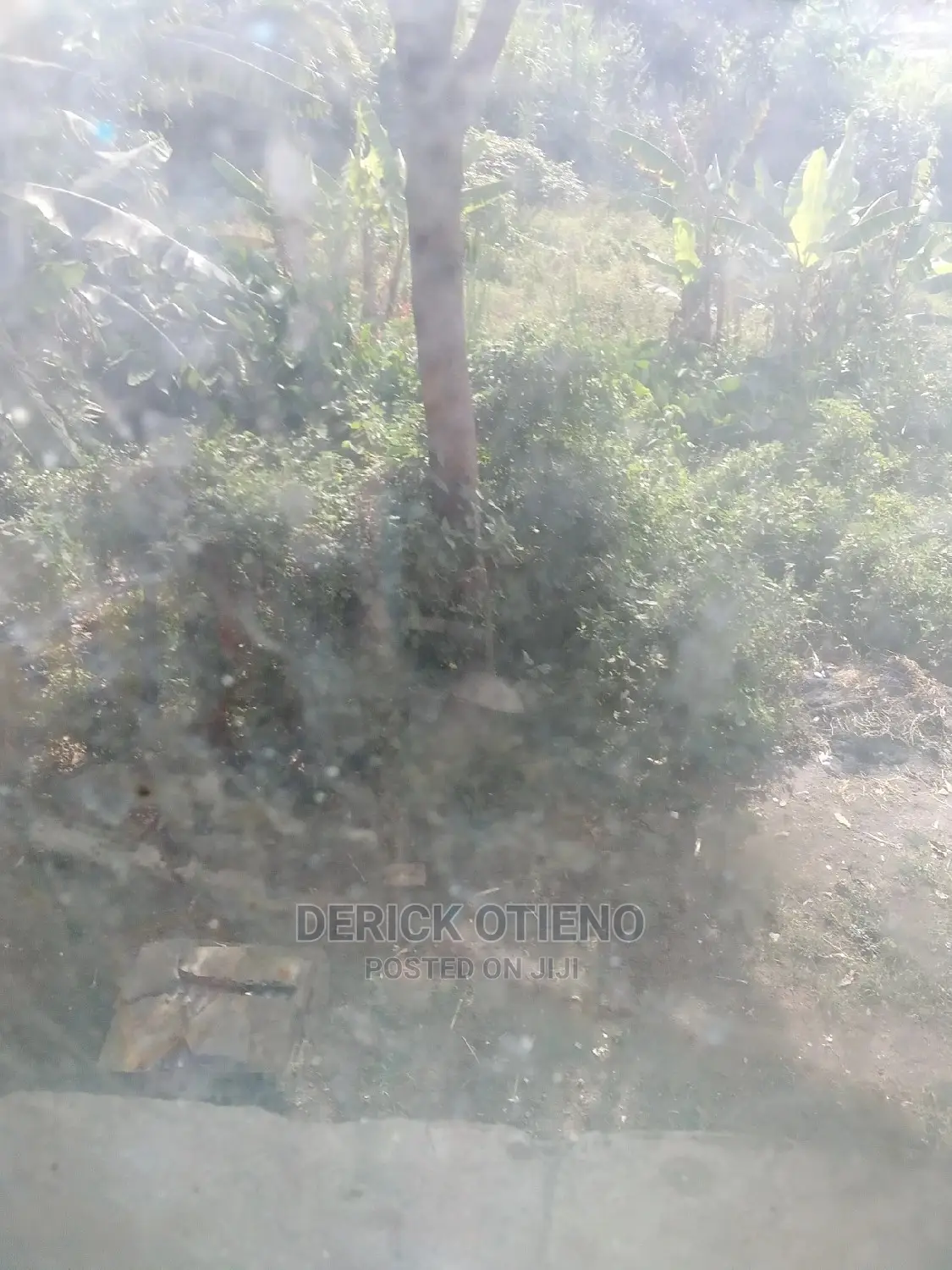 8bdrm Bungalow in Lavington for Rent