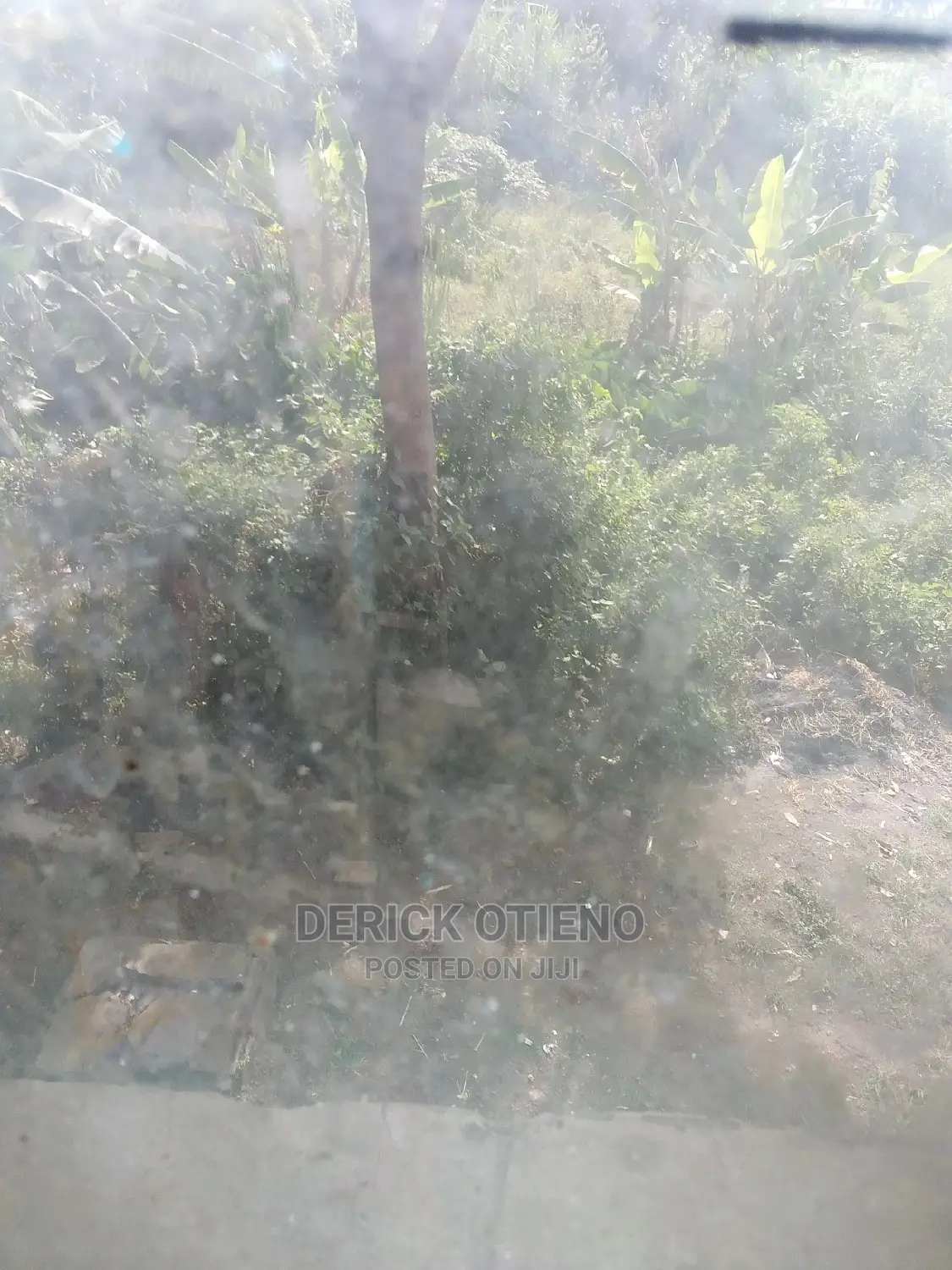8bdrm Bungalow in Lavington for Rent