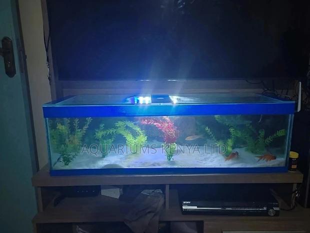 Beautiful Custom Made Aquarium 3ft - main view