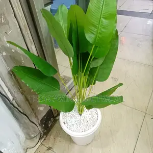 Garden Flowers for Decorating Homes