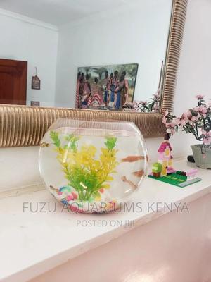Fish Bowl 7 Litres - thumbnail 2