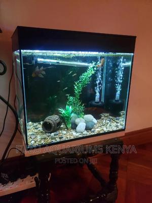 Aquarium (Nature) - thumbnail 2