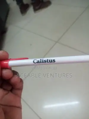 Biro Pens(Bic)