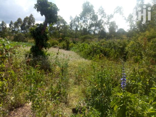 Land for Sale in Njoro - thumbnail 4