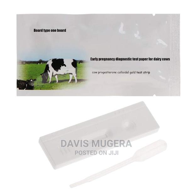 Cow Pregnancy Test Strips Reliable Early Detection Kits - main view