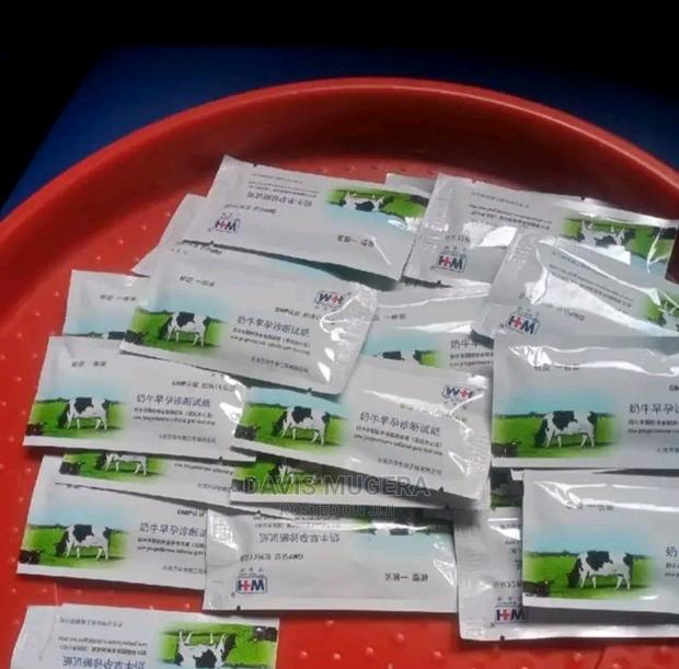 Cow Pregnancy Test Strips Reliable Early Detection Kits - thumbnail 5