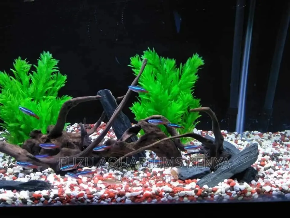 Driftwoods for Aquarium