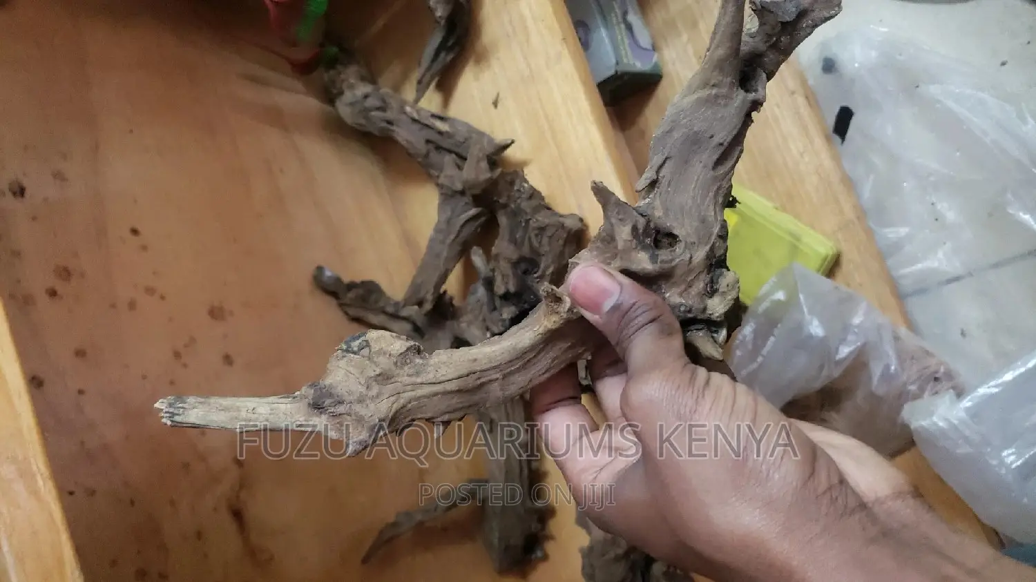 Driftwoods for Aquarium
