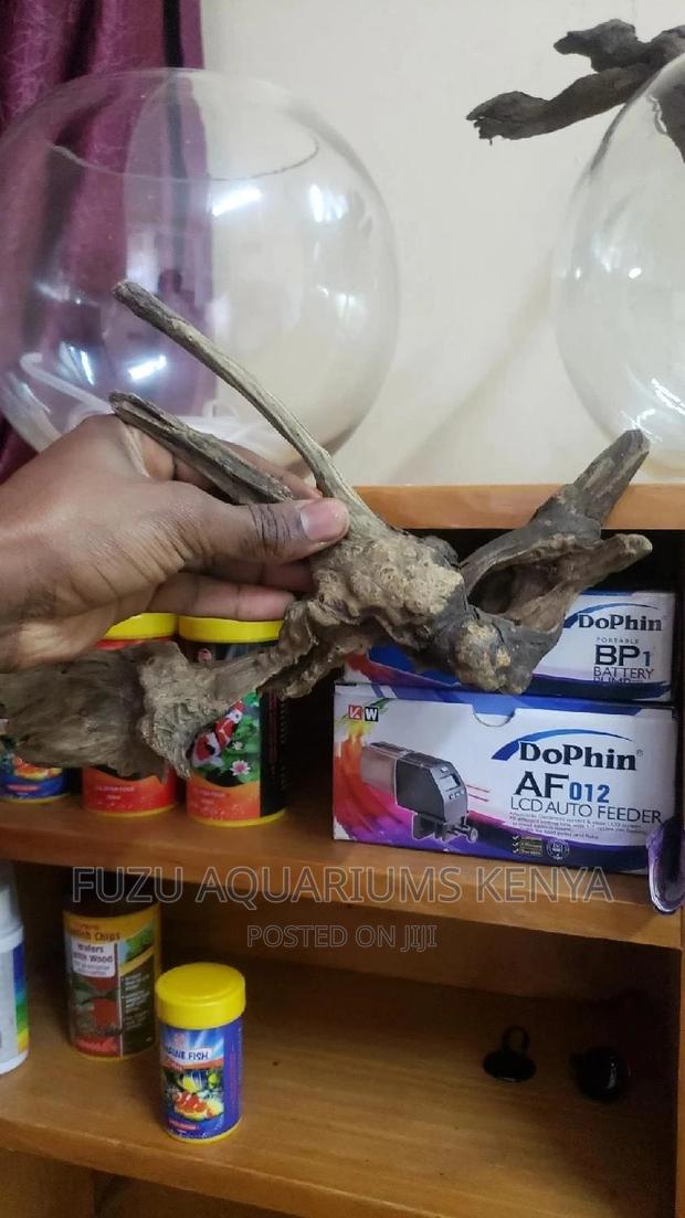 Driftwoods for Aquarium - thumbnail 4