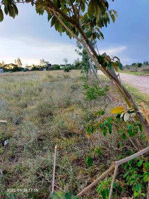 Kitengela Plots Ready for Quick Sale - thumbnail 2