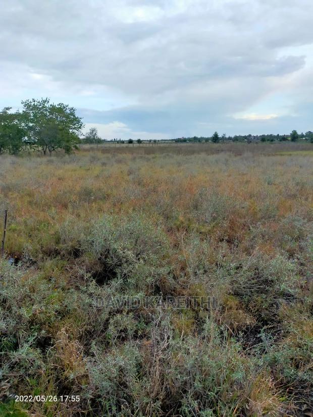 Kitengela Plots Ready for Quick Sale - thumbnail 3