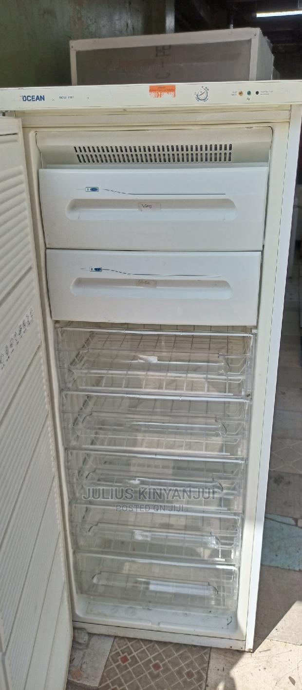 Upright Freezer 300l