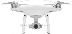 Phantom 4 Pro V2 - main view