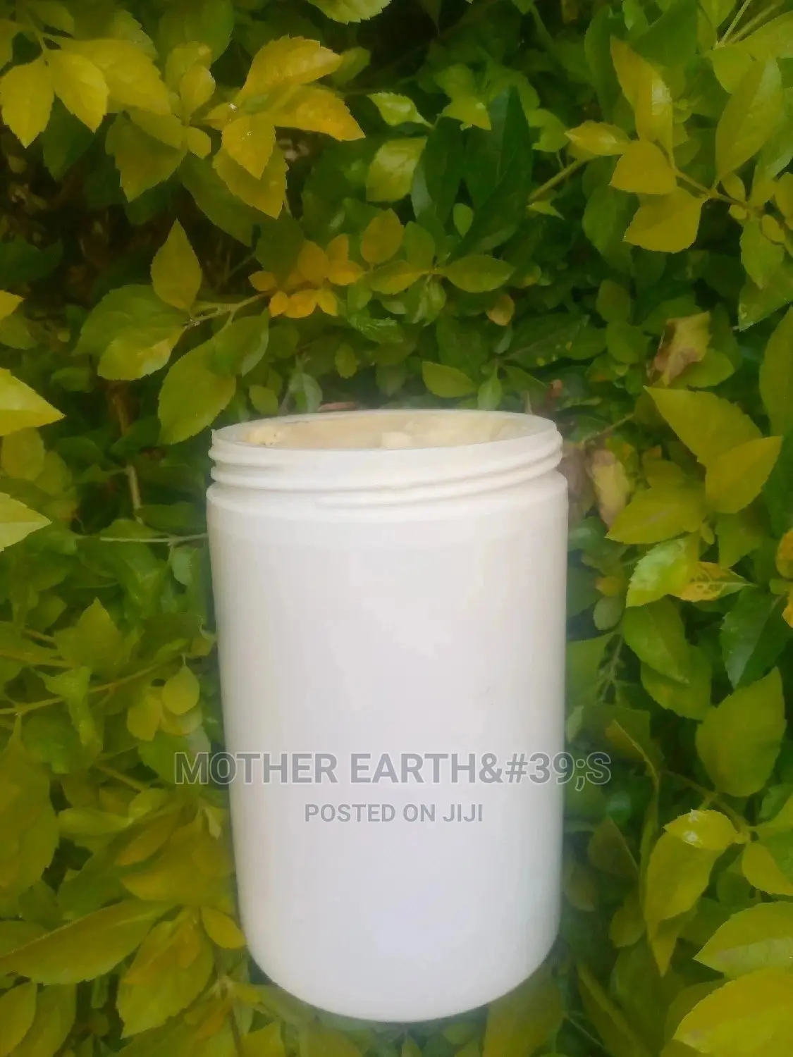 Shea Butter ( Nilotica )