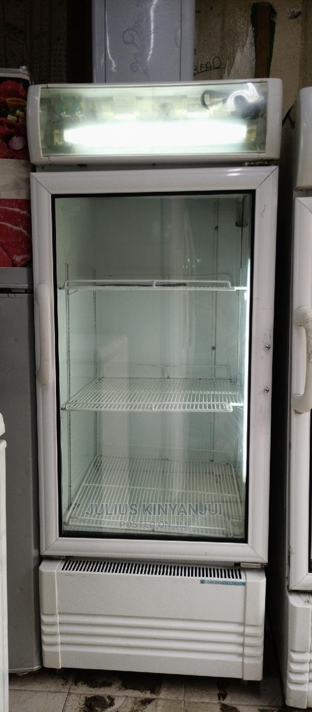 250L Display Fridge - thumbnail 2