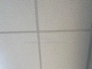 KNAUF Armstrong German Acoustic Ceiling(600 X 600 X 13 Mm)
