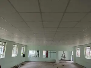 KNAUF Armstrong German Acoustic Ceiling(600 X 600 X 13 Mm)