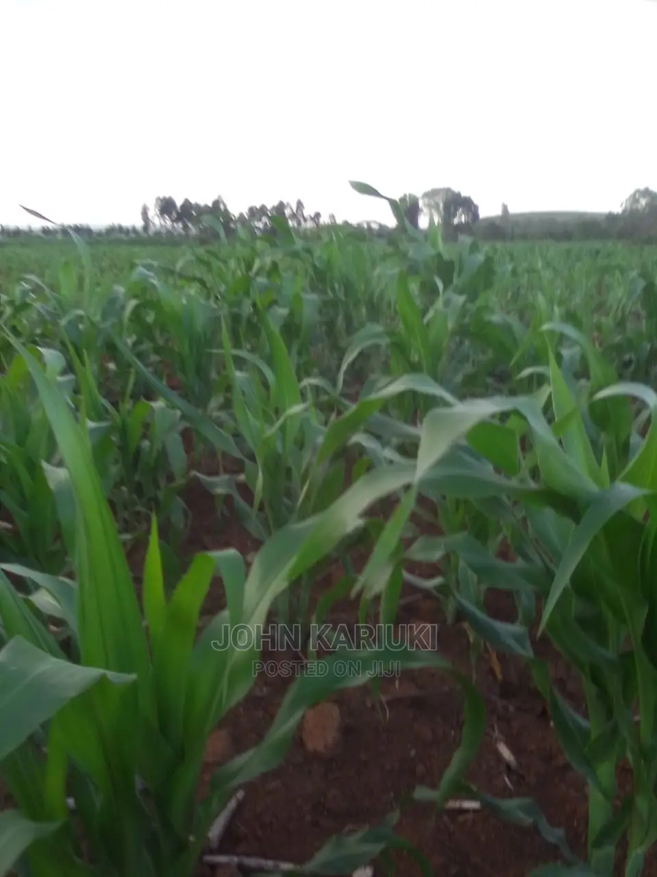 Sipili Laikipia 5 Acres On Sale