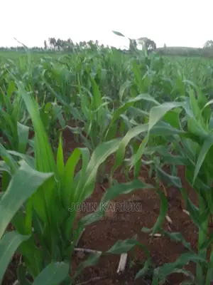 Sipili Laikipia 5 Acres On Sale