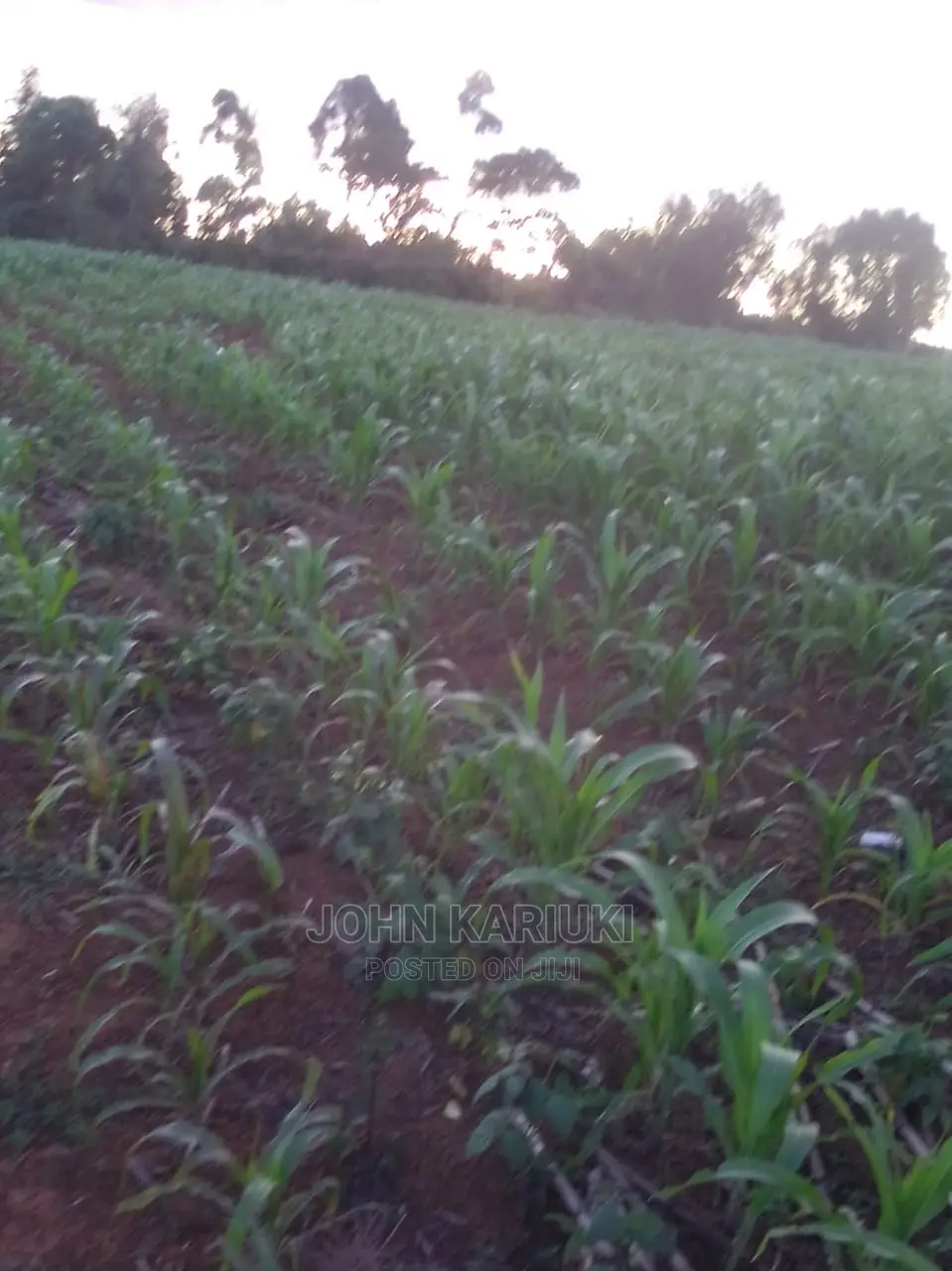Sipili Laikipia 5 Acres On Sale