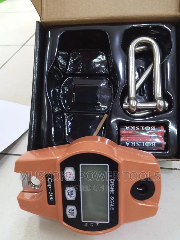 Crane Digital Weighing Scale