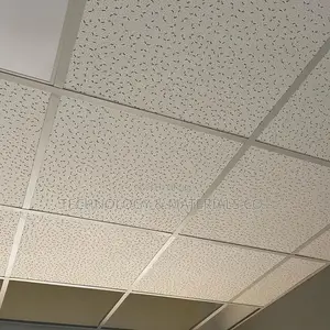 KNAUF Armstrong German Acoustic Ceiling(600 X 600 X 13 Mm)