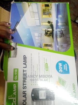 30w Solar Street Light - thumbnail 2