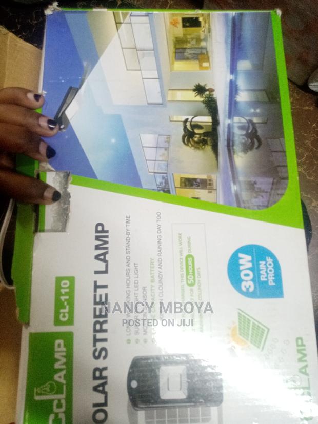 30w Solar Street Light - main view