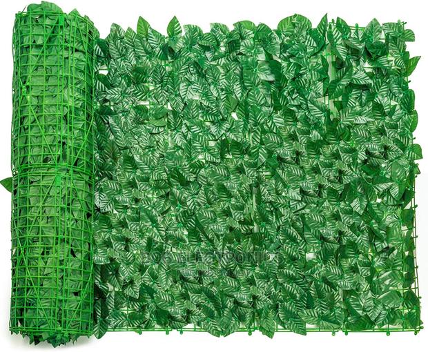 3m Long Privacy Hedge