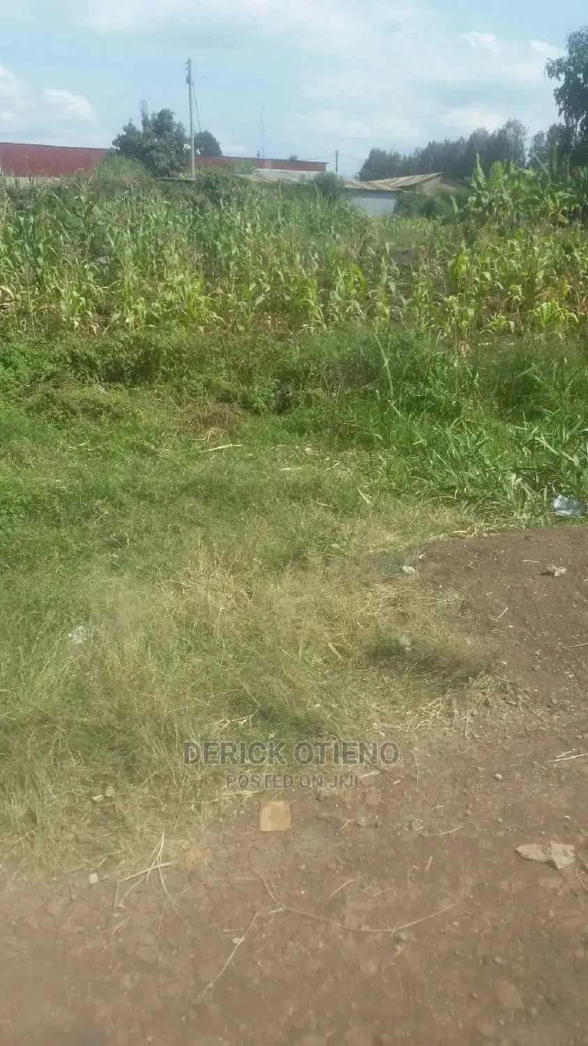 100 by 100 Land for Lease in Satellite Kabiria