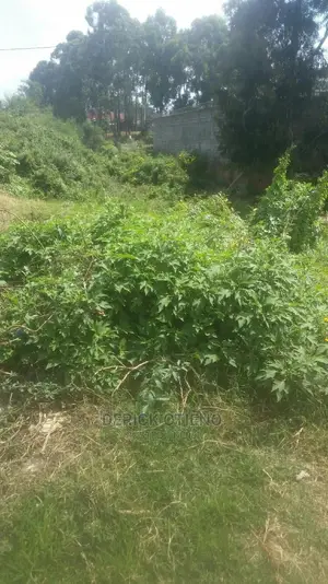100 by 100 Land for Lease in Satellite Kabiria