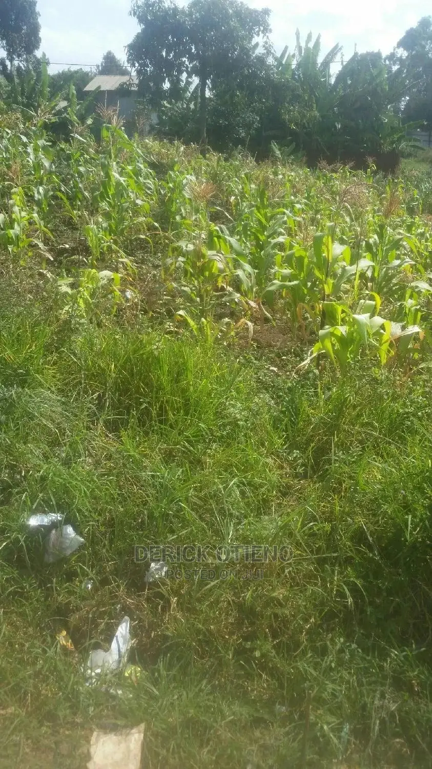 100 by 100 Land for Lease in Satellite Kabiria
