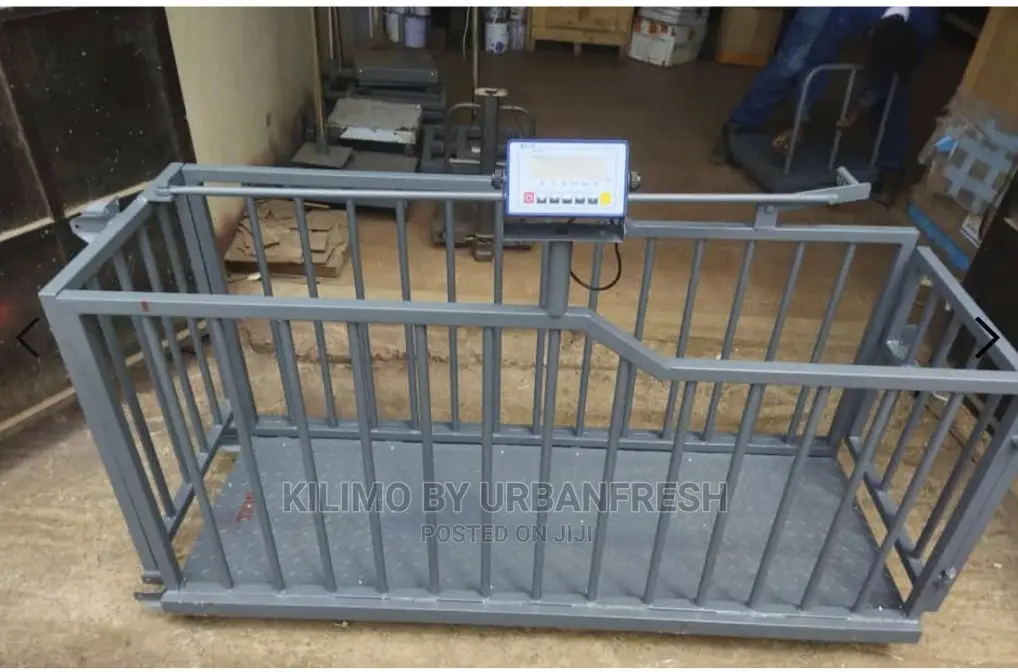 Livestock Weigh Scales.