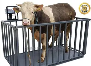 Livestock Weigh Scales.