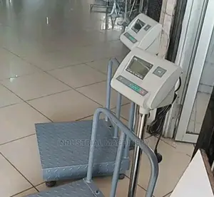 Assured Gas/A12 Weighing Scale-500kgs