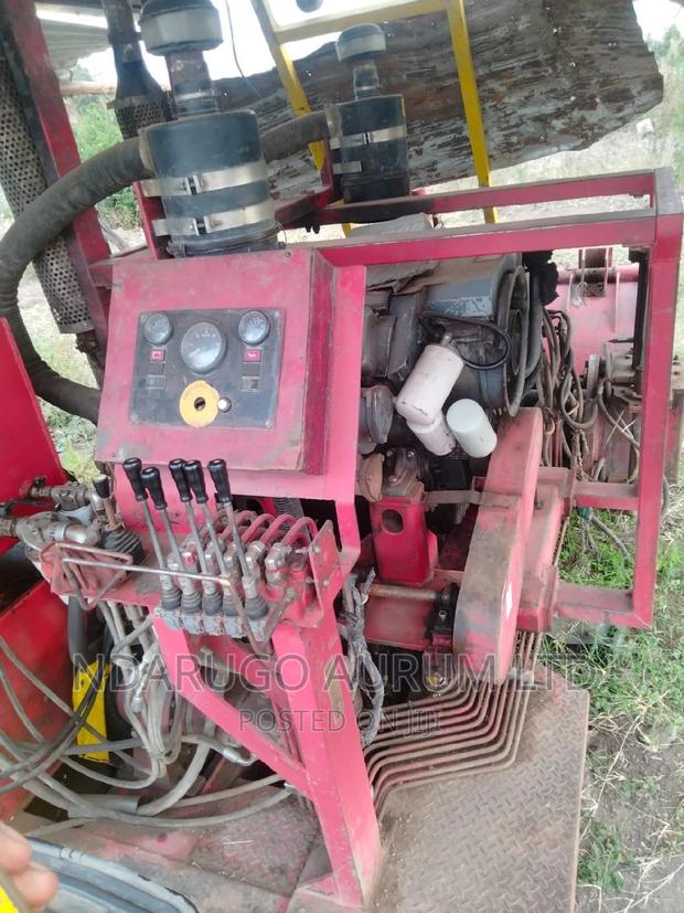 2019 Damico - thumbnail 6