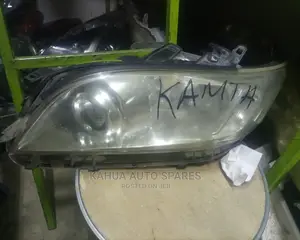Vanguard Xenon Headlights
