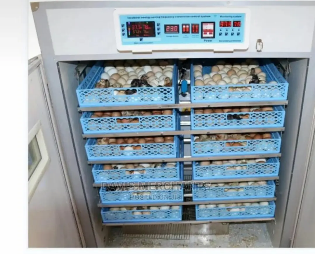 Automatic Egg Incubator 1056egg