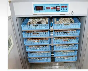 Automatic Egg Incubator 1056egg
