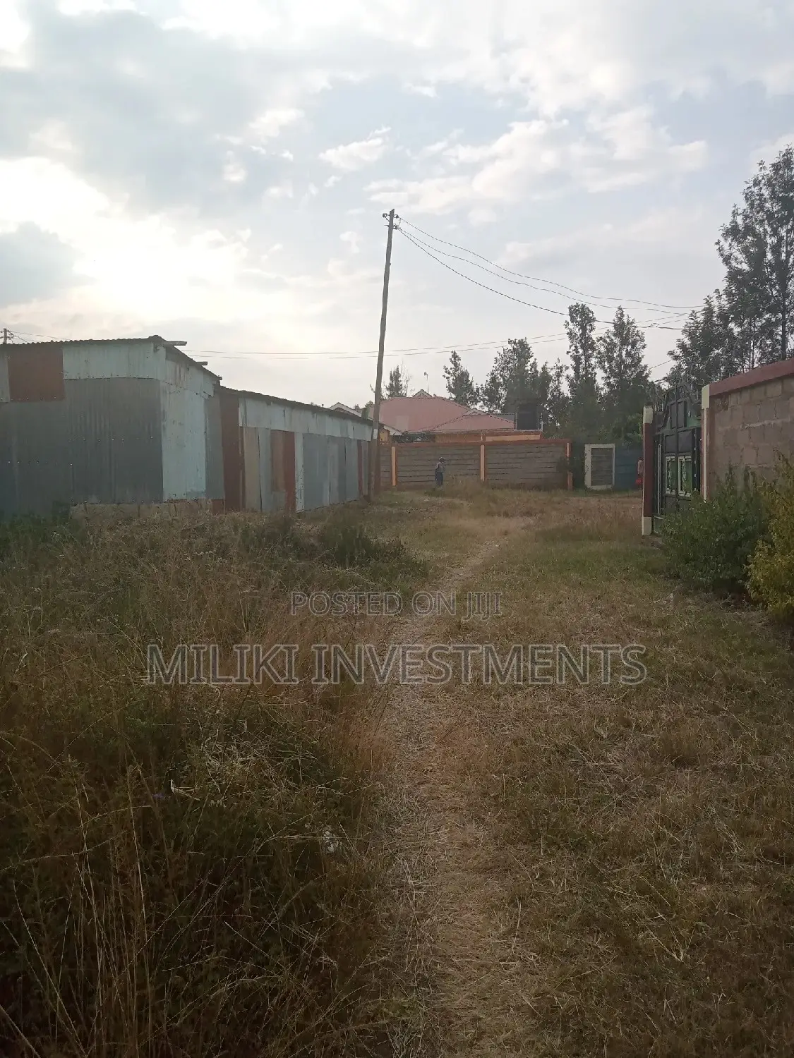 Two Forty by 80 Plots on Sale at Kenol Town.